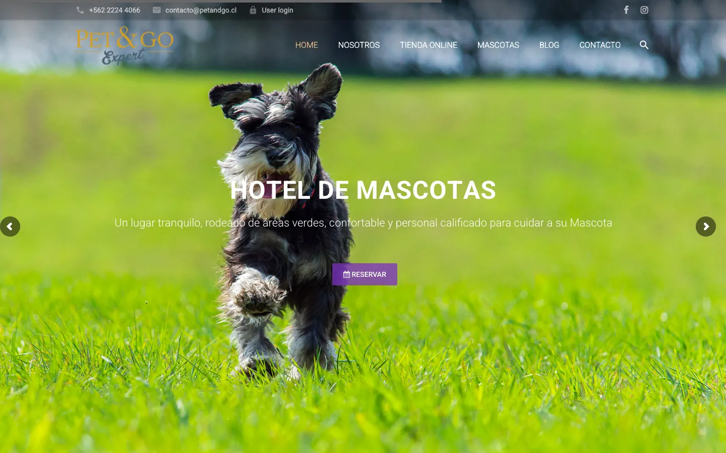 Hotel de mascotas Pet&Go
